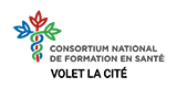 Logo : Consortium national de formation en santé (CNFS)